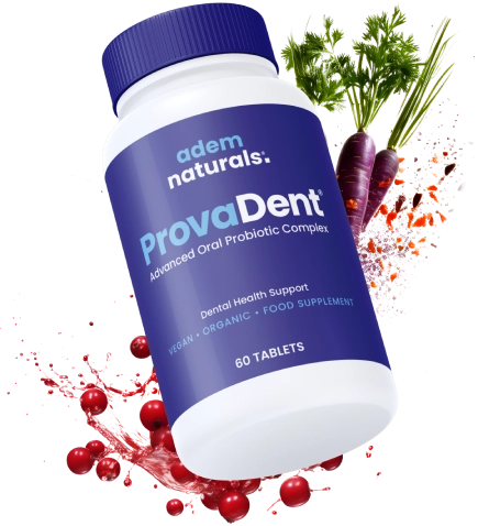 ProvaDent 1 bottle